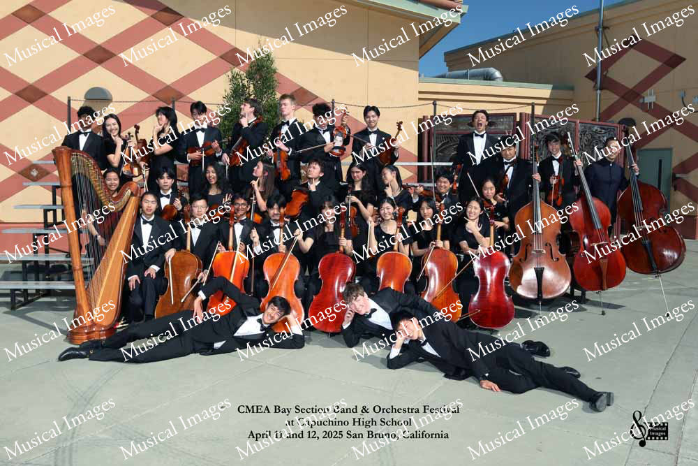 Musical Images